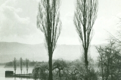Bild 7 A 5730 Mg-Doppelstand