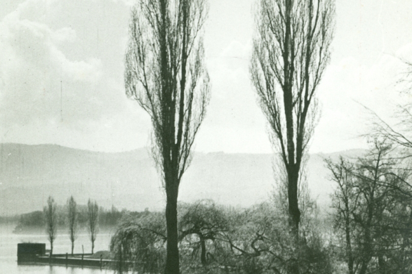 Bild 7 A 5730 Mg-Doppelstand